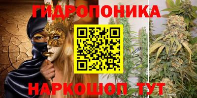 apvp Кимры