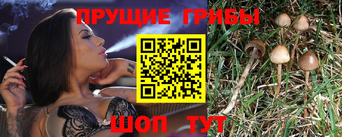 Псилоцибиновые грибы MAGIC MUSHROOMS  Вход с VPN  Арзамас 