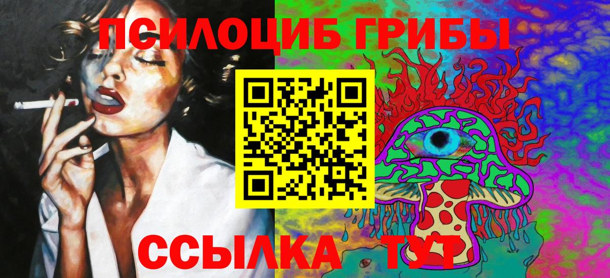 Псилоцибиновые грибы мицелий Арзамас